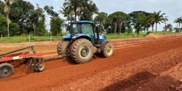 Serviços de terraplanagem são executados pelo governo de RO na RO-494, em Primavera de Rondônia