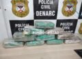 Denarc apreende 10 quilos de skunk durante operação em Porto Velho