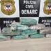 Denarc apreende 10 quilos de skunk durante operação em Porto Velho