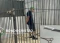 Mototaxista é esfaqueado em frente à rodoviária de Porto Velho