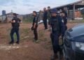 Arma, munições e suspeita de exploração ilegal de madeira colocam Polícia Civil em ação perto de parque estadual