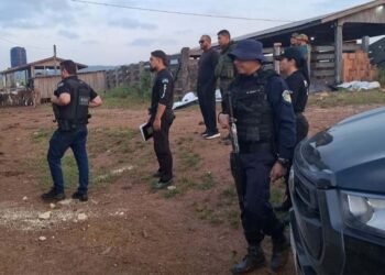 Arma, munições e suspeita de exploração ilegal de madeira colocam Polícia Civil em ação perto de parque estadual