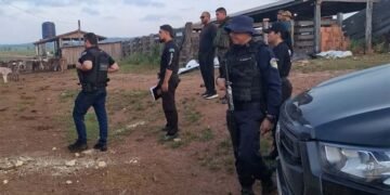 Arma, munições e suspeita de exploração ilegal de madeira colocam Polícia Civil em ação perto de parque estadual