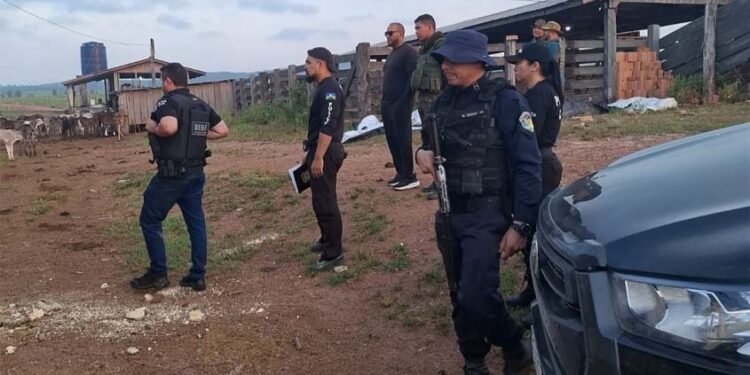 Arma, munições e suspeita de exploração ilegal de madeira colocam Polícia Civil em ação perto de parque estadual