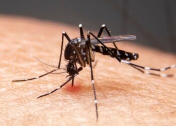 Mudanças climáticas já causam aumento de doenças infecciosas no país