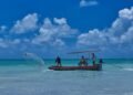 Revisão de regras para pesca amadora está em consulta pública