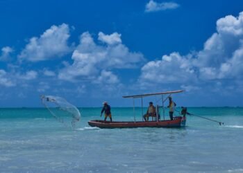 Revisão de regras para pesca amadora está em consulta pública