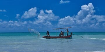 Revisão de regras para pesca amadora está em consulta pública