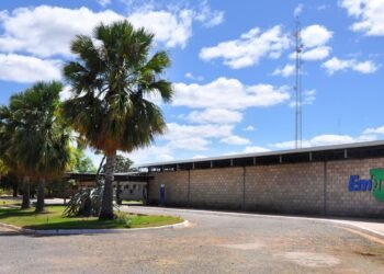 Embrapa é designada como Centro de Referência para Florestas Plantadas