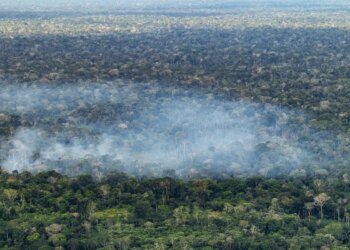 Estudo aponta atividade humana nas emissões de carbono na Amazônia