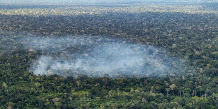 Estudo aponta atividade humana nas emissões de carbono na Amazônia