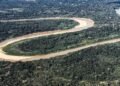 Holanda anuncia US$ 500 milhões em fundo florestal criado pelo Brasil