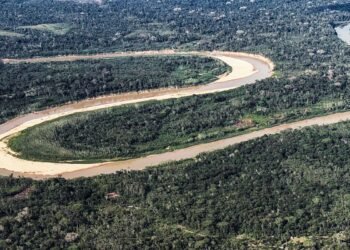 Holanda anuncia US$ 500 milhões em fundo florestal criado pelo Brasil