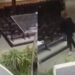 Mulher invade igreja em MG, faz disparos e é presa