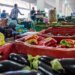 Campanha busca engajamento para reduzir desperdício de alimento