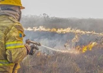 Governo investiga se há organização por trás dos incêndios no Amazonas