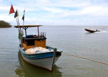 Pesca na foz do Rio Doce volta a ser liberada depois de dez anos
