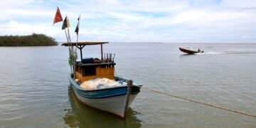 Pesca na foz do Rio Doce volta a ser liberada depois de dez anos