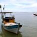 Pesca na foz do Rio Doce volta a ser liberada depois de dez anos